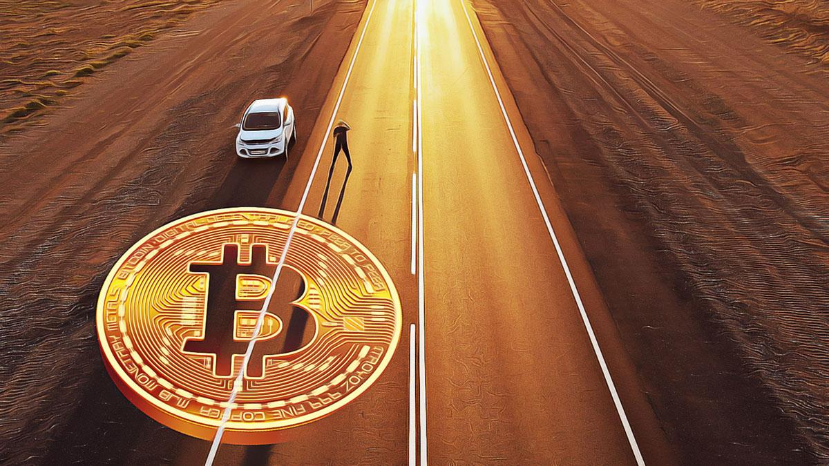 比特币价格在选举后创下历史新高-最新加密货币动态