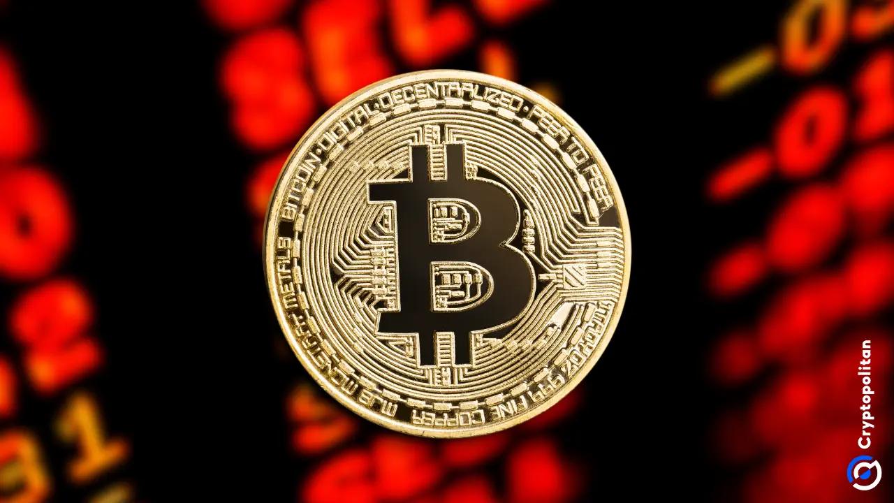 比特币进入分配阶段:累积趋势得分降至0.21