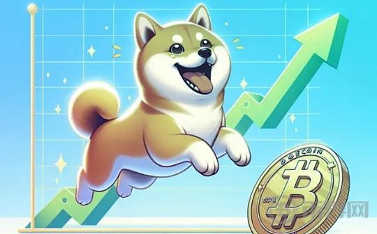 Dogecoin (DOGE) Holds its Ground: Bull Market Gains Momentum