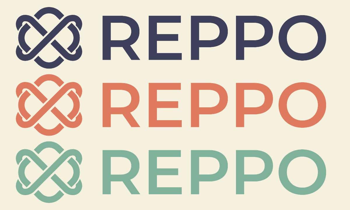 Reppo Labs 获取 220 万美元资金,全面升级数据所有者与人工智能代理之间的协同合作