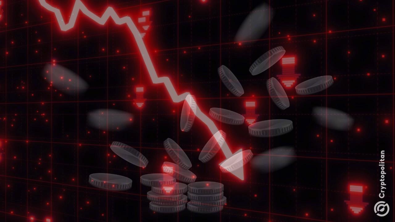 天秤座的巨鲸获得500万美元的赔偿金