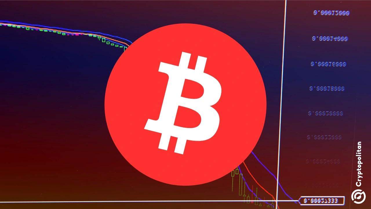 BlackRock一天内卖出5,002个比特币,创下有史以来最大流出记录